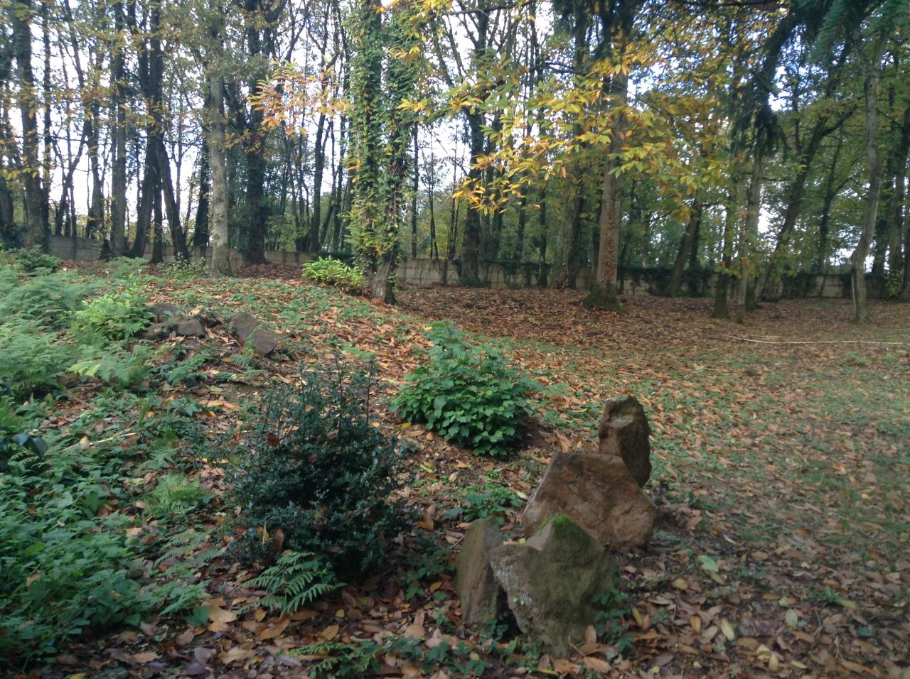 18-Les menhirs de St Denis