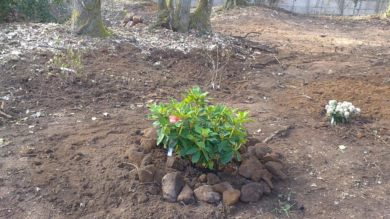 22-Chaque plante fleurie à tour de role