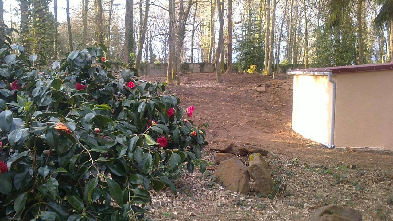 30-Quelques fleurs