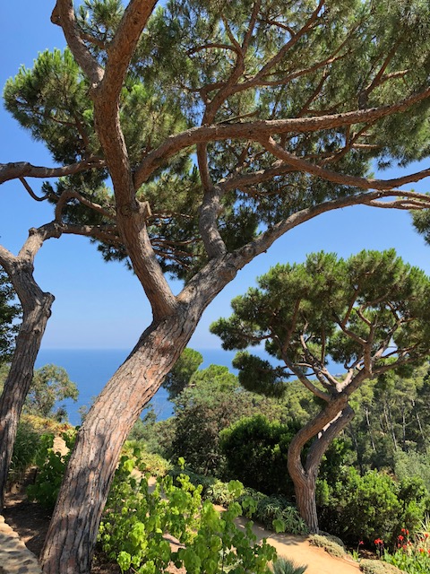 88-Jardin botanique de Cap Roig