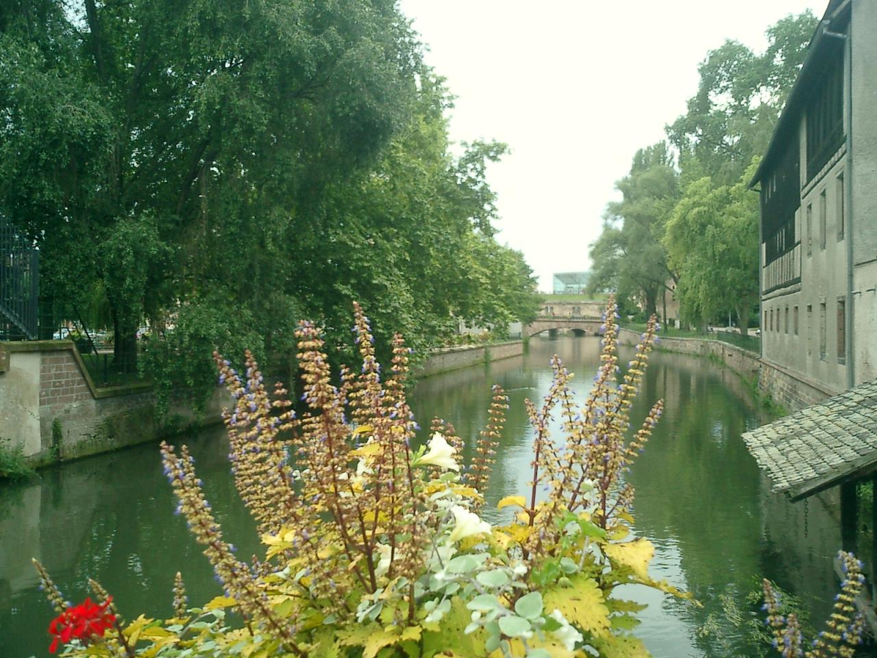 CIMG0035