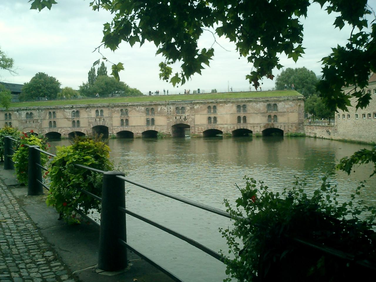 CIMG0036