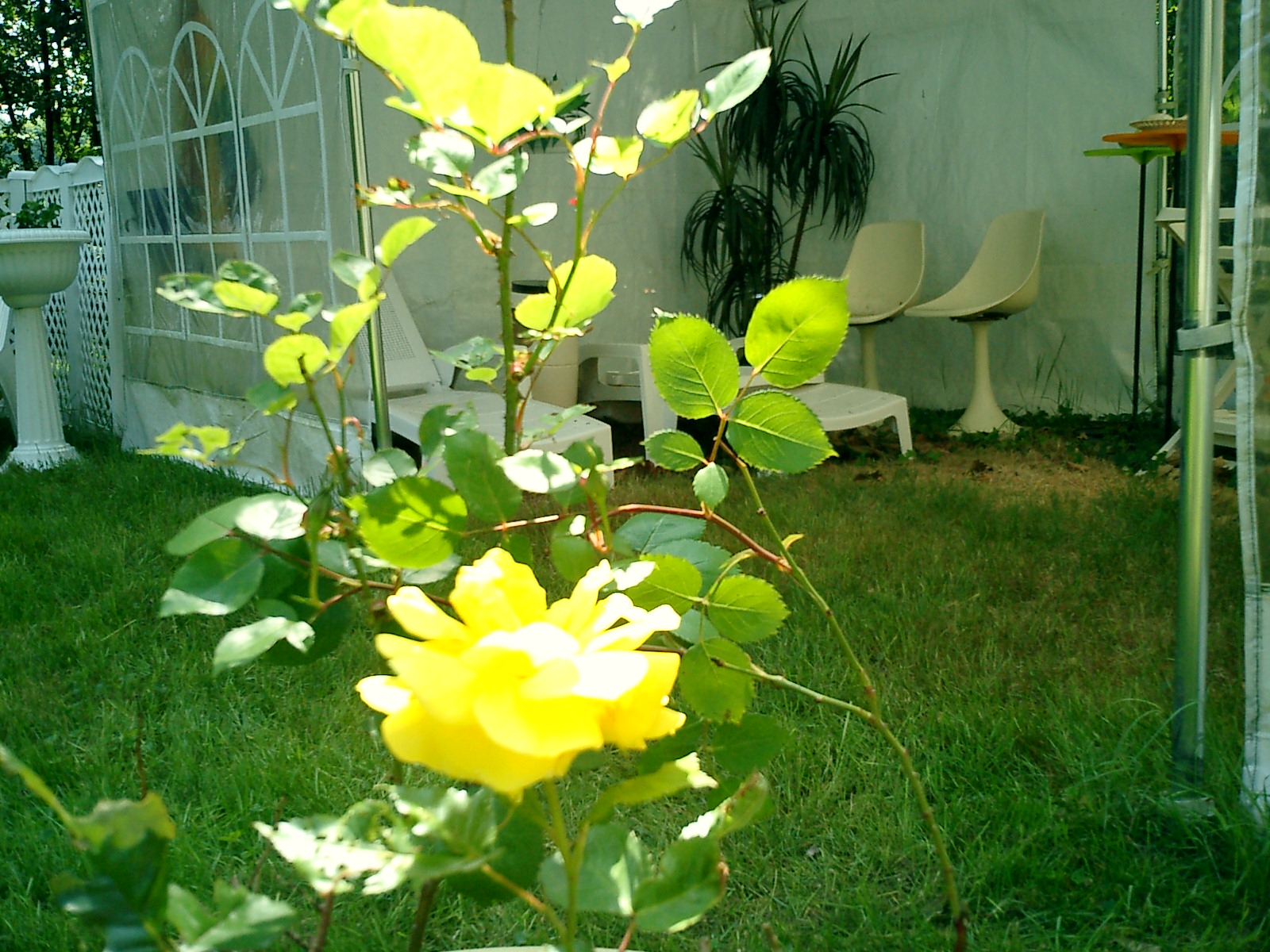 CIMG0042