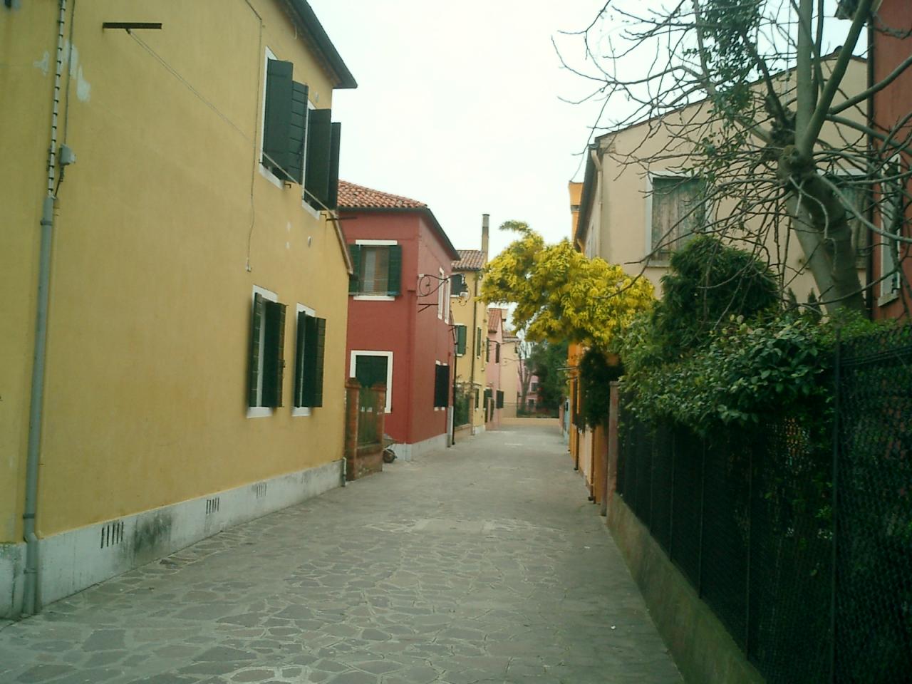 CIMG0063
