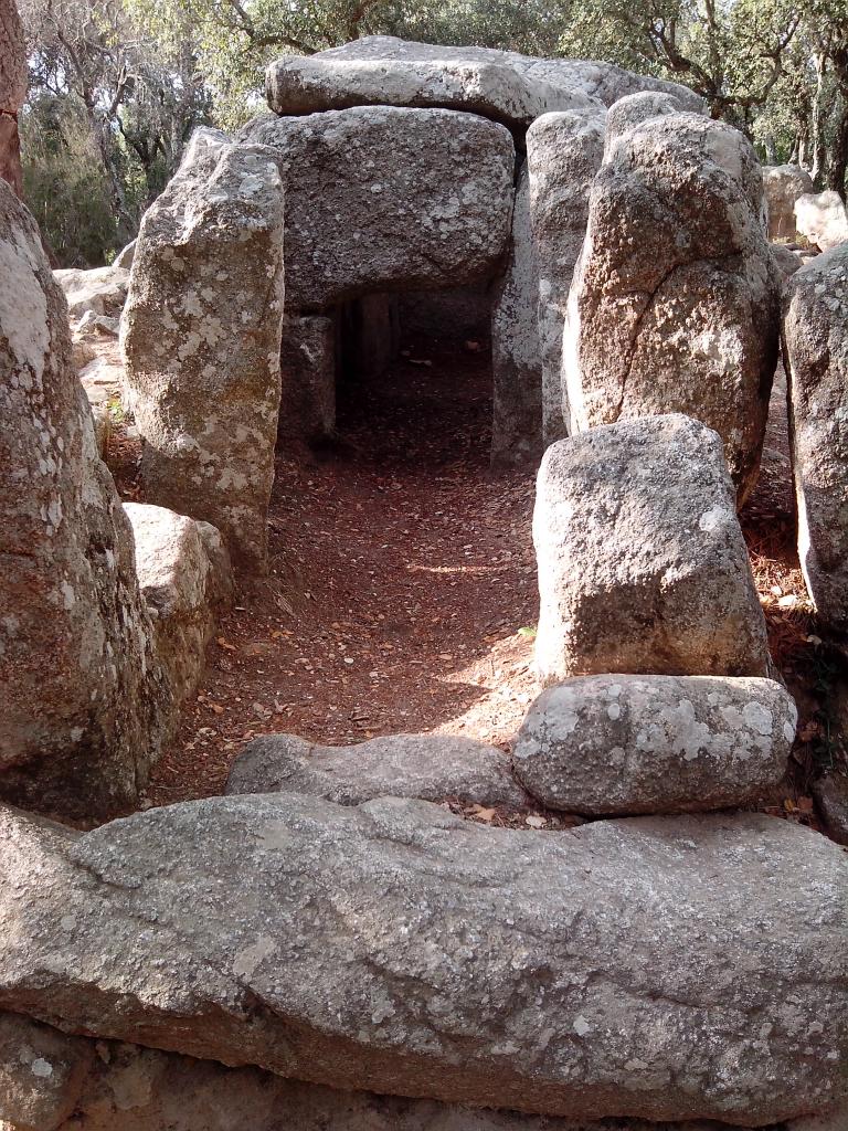 Dans la montagne au dessus de San Antonio 2