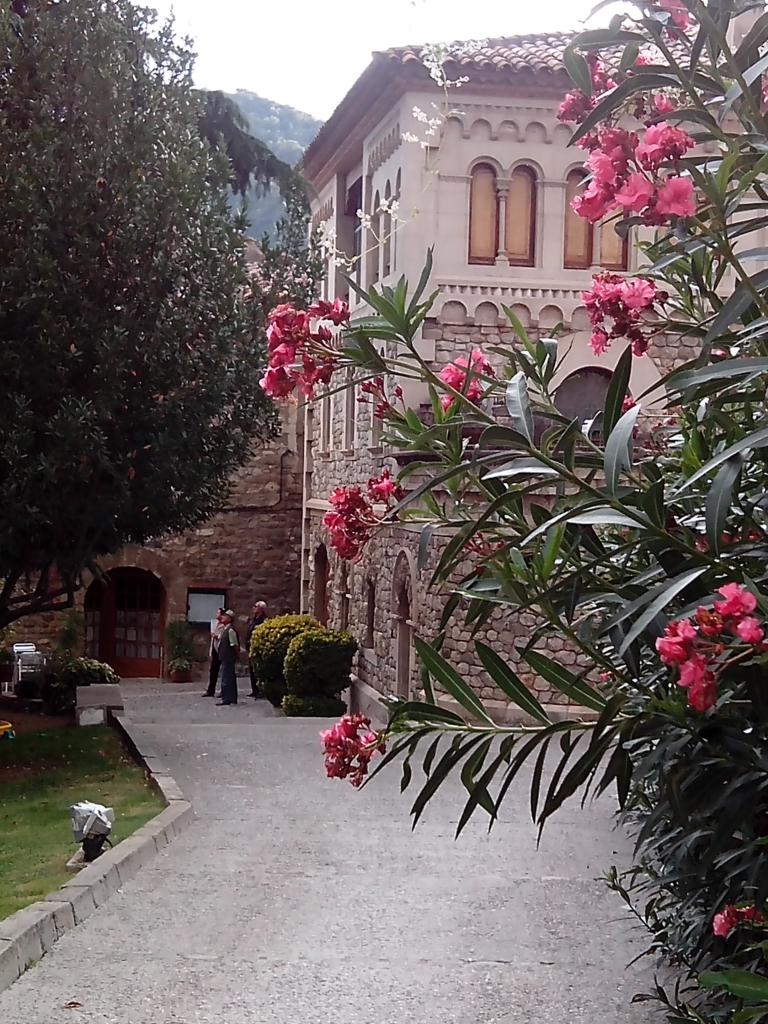 Le 19 Besalu 14