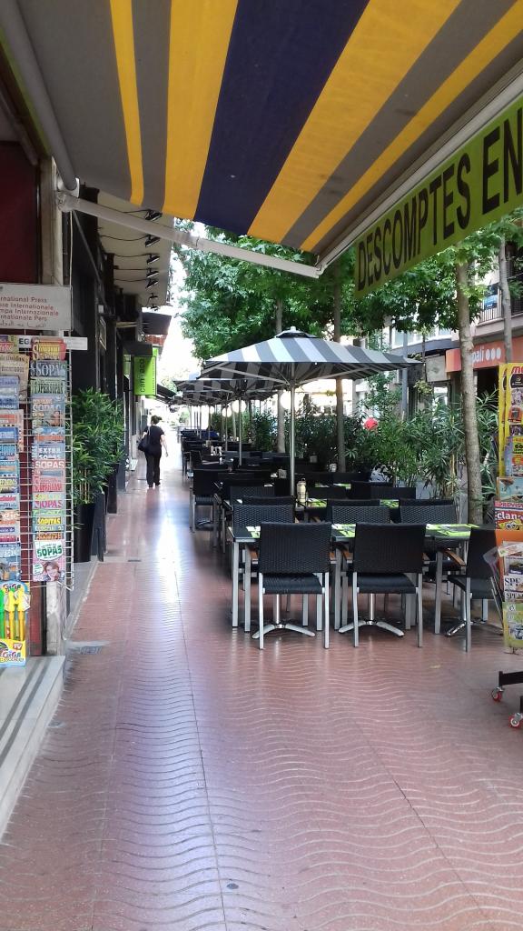 Paco agrandit sa terrasse 1