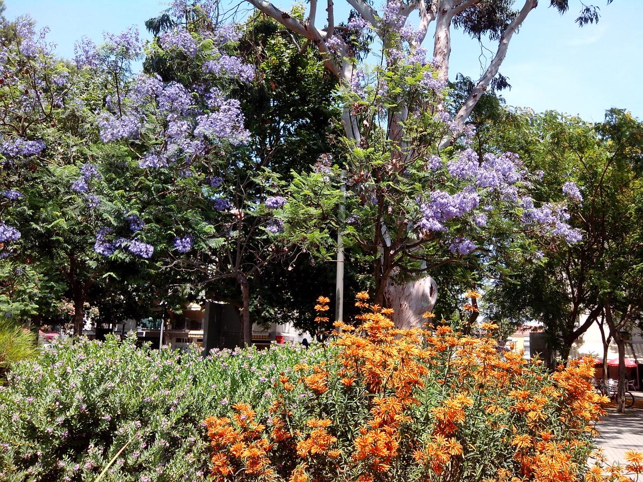 Parc Palamós 2 le 20 juin 2017