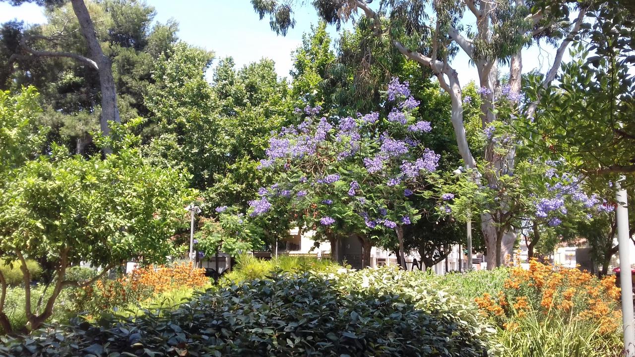 Parc Palamós 4 le 20 juin 2017