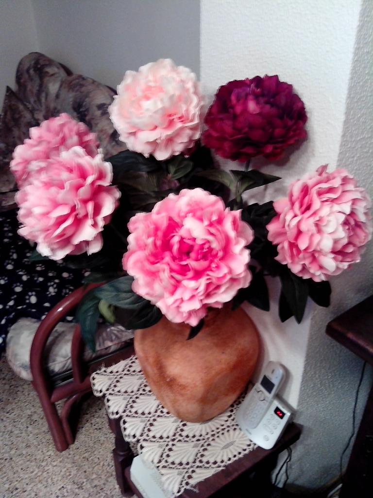 Pivoines 2 le 11 juillet 2017