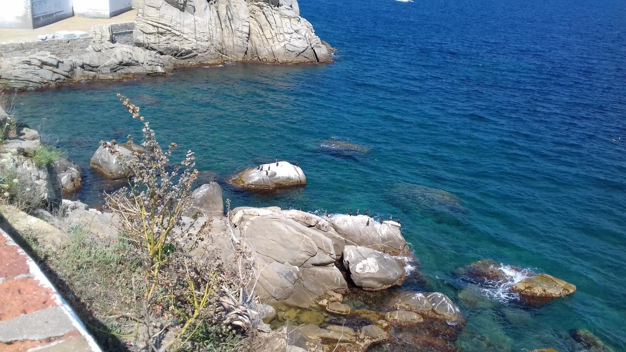 Vue du phare 1