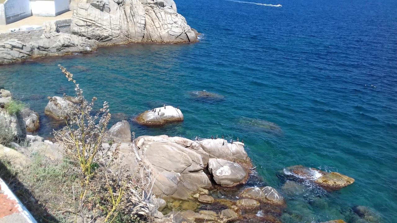 Vue du phare 2