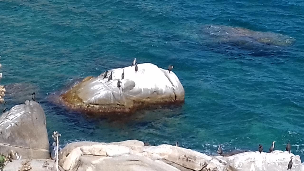 Vue du phare 3