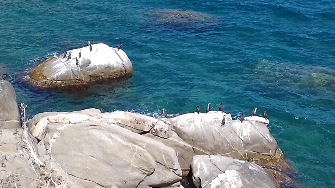 Vue du phare 4