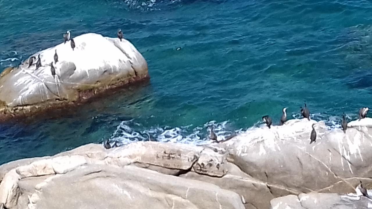 Vue du phare 5